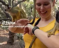 World of Birds: Der größte Vogelpark Afrikas in Kapstadt