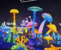 Zoo Amnéville Luminescences: Ein magisches Lichterspektakel erleben